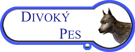 Lv.1 Divoký pes